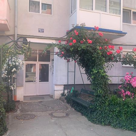 Cazare Medias, Apartament Modern Экстерьер фото