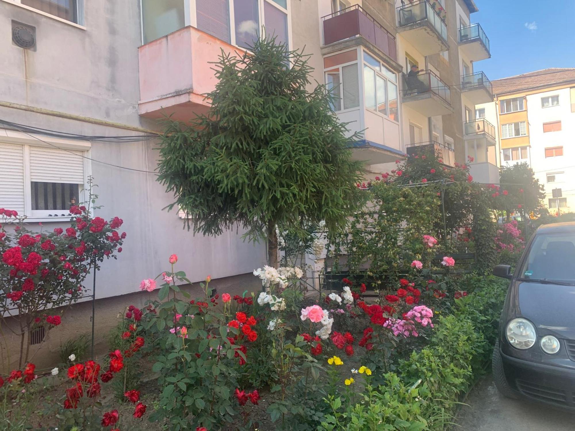 Cazare Medias, Apartament Modern Экстерьер фото
